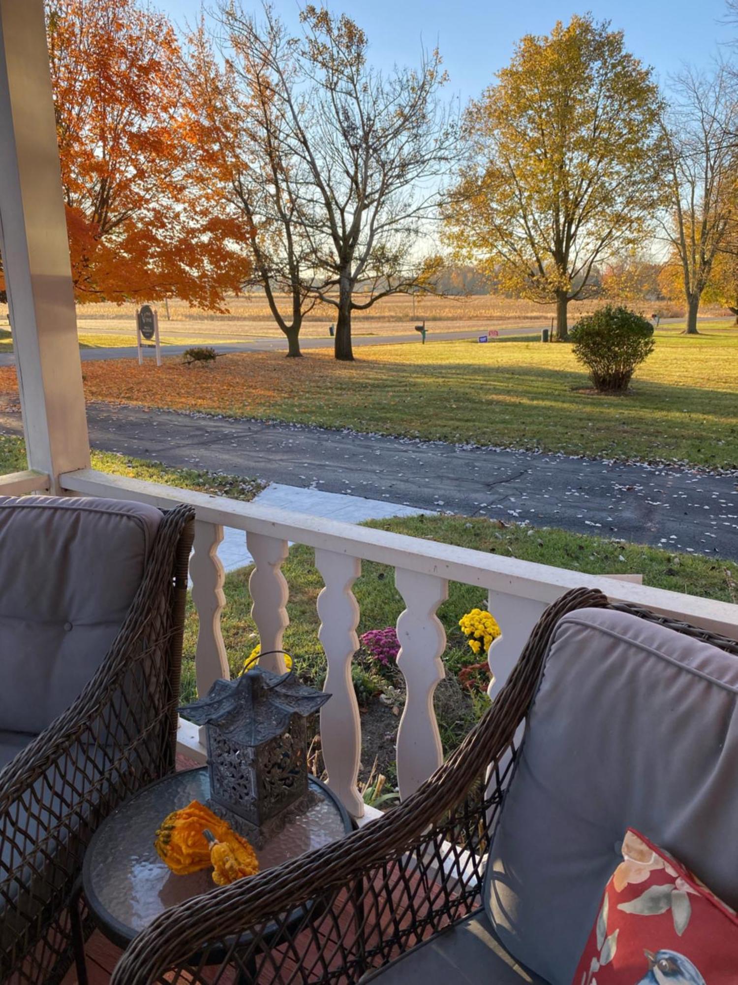 The Vine Bed & Breakfast, Llc Dundee Extérieur photo